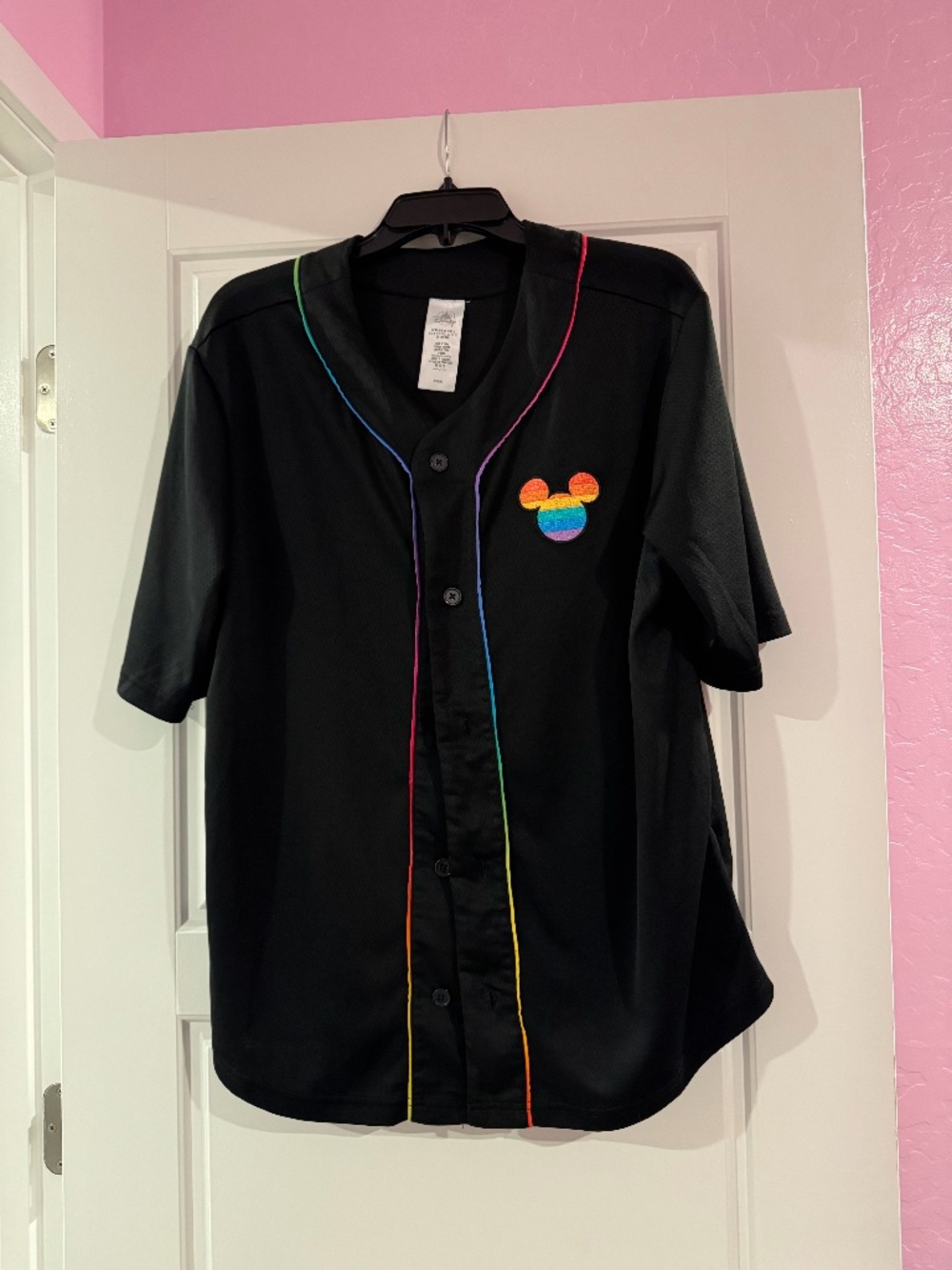 Disneyland Pride Spirit Jersey - Adult Medium